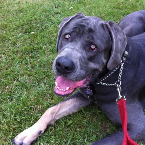 Meet your Posher, Tammy - Picture 4 of 16